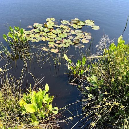 Landzicht Natuur Rust En Ruimte Oosterwolde  Bagian luar foto