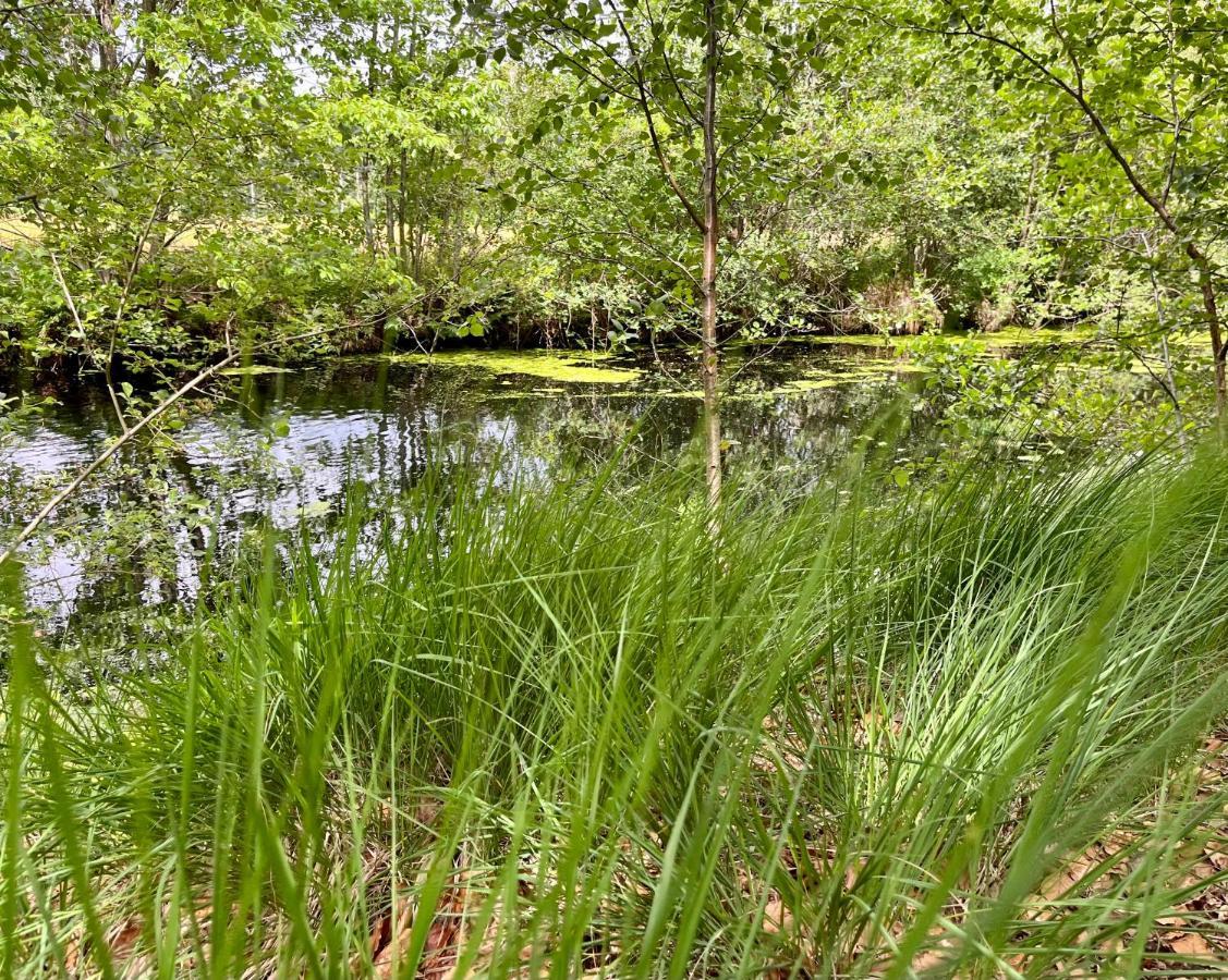 Landzicht Natuur Rust En Ruimte Oosterwolde  Bagian luar foto