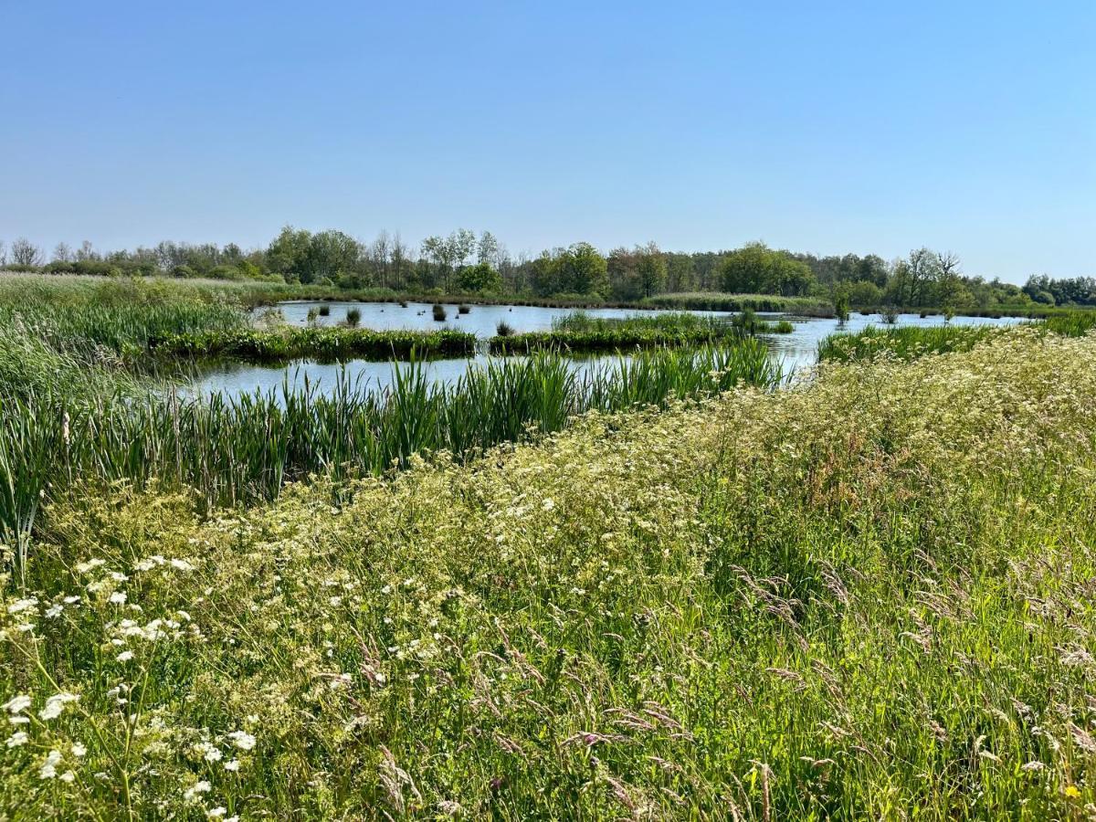 Landzicht Natuur Rust En Ruimte Oosterwolde  Bagian luar foto