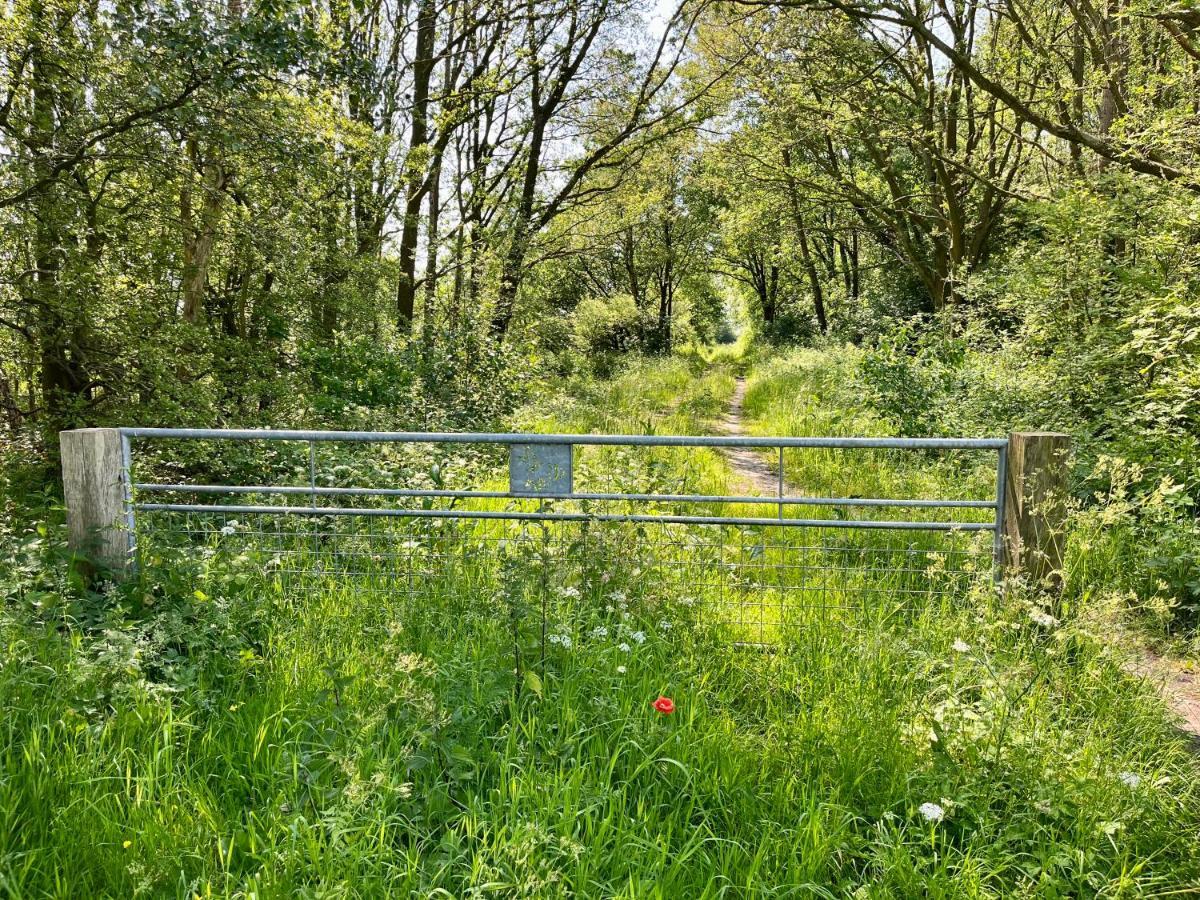 Landzicht Natuur Rust En Ruimte Oosterwolde  Bagian luar foto