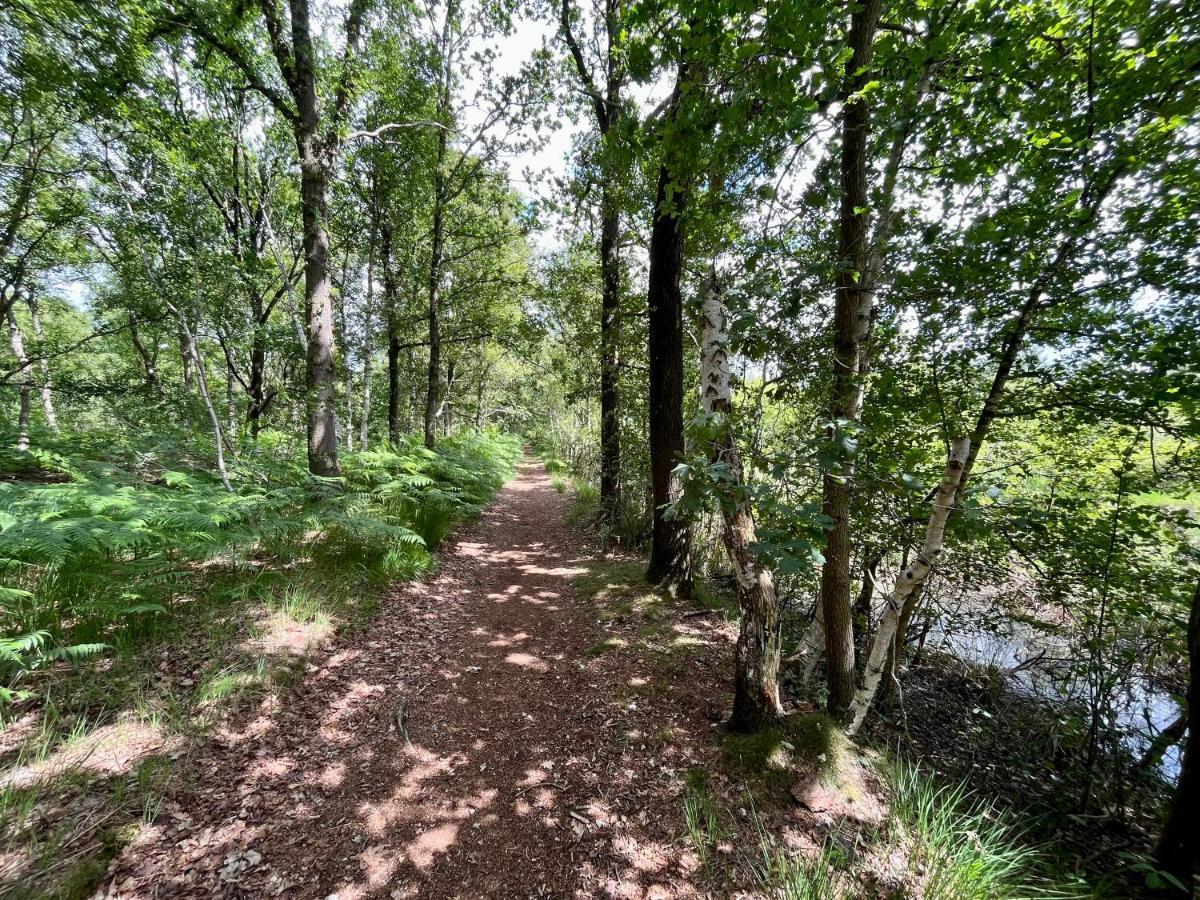 Landzicht Natuur Rust En Ruimte Oosterwolde  Bagian luar foto