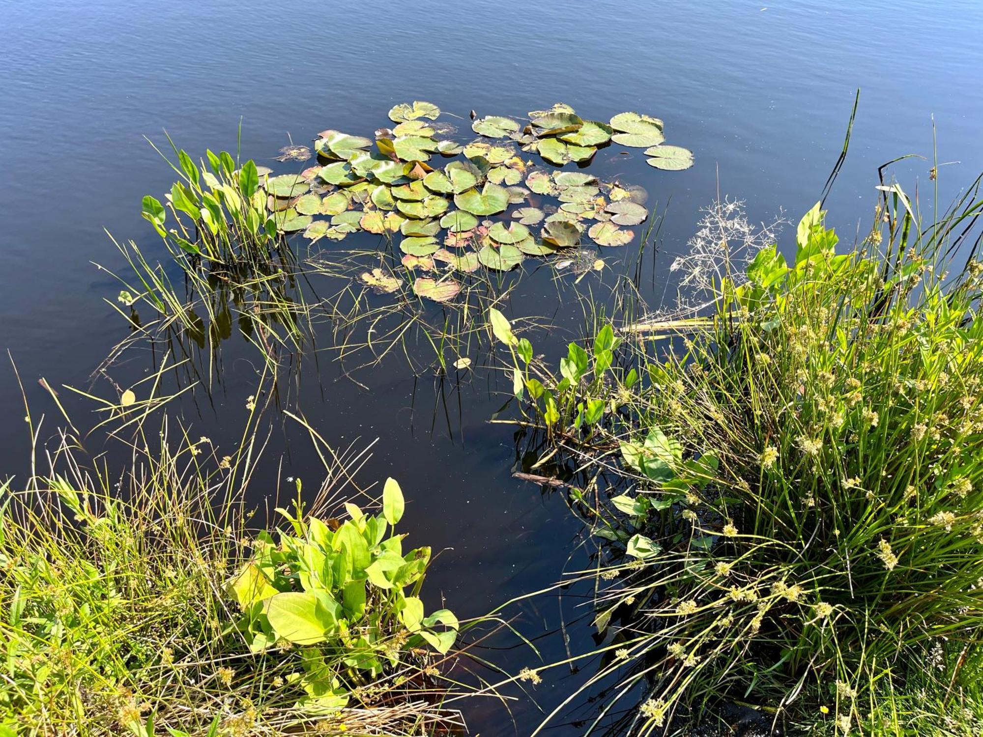 Landzicht Natuur Rust En Ruimte Oosterwolde  Bagian luar foto