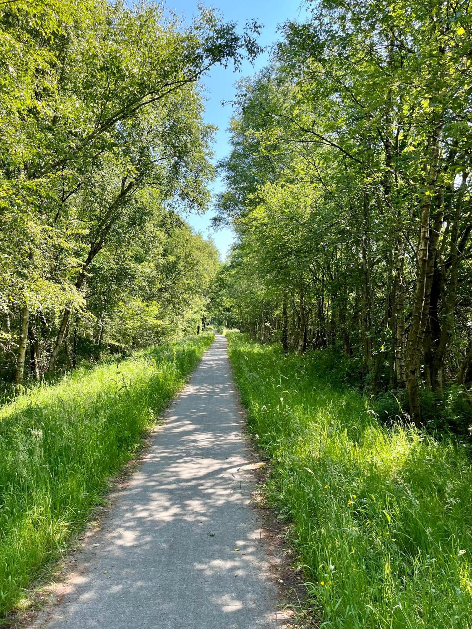 Landzicht Natuur Rust En Ruimte Oosterwolde  Bagian luar foto
