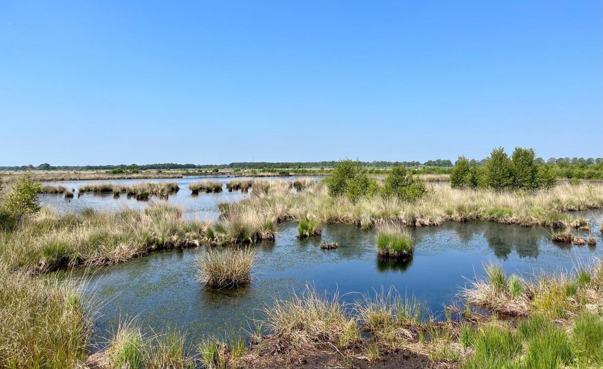 Landzicht Natuur Rust En Ruimte Oosterwolde  Bagian luar foto