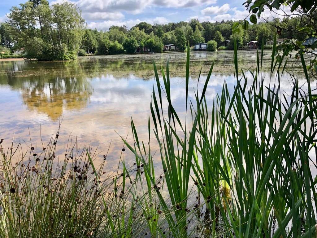 Landzicht Natuur Rust En Ruimte Oosterwolde  Bagian luar foto